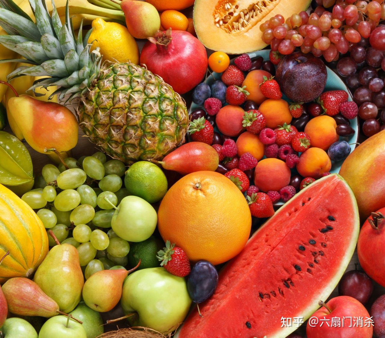 夏天果蝇从哪儿来,天气变暖好多果蝇