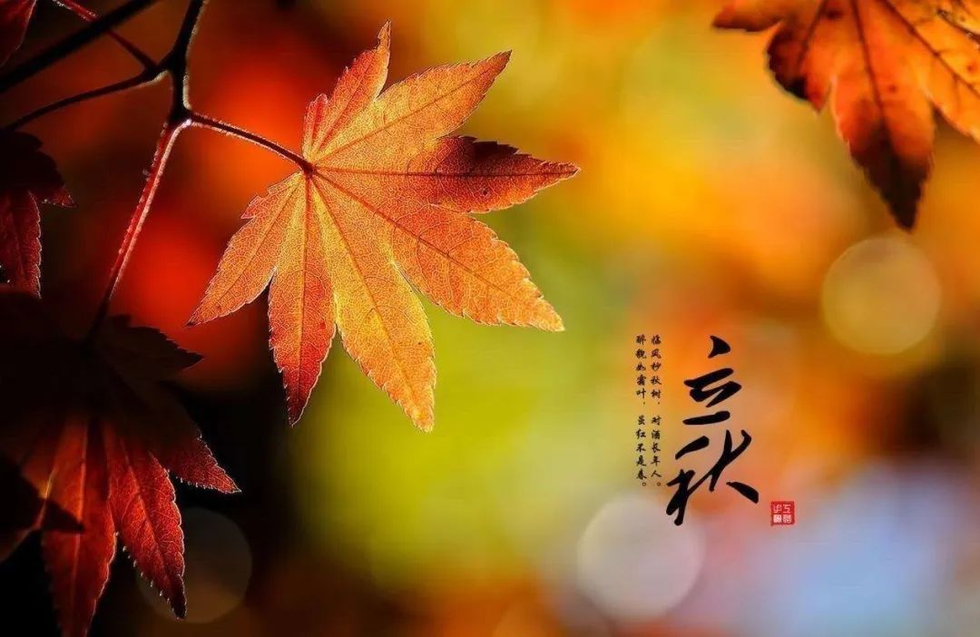 立秋的经典诗词,立秋最好的十首诗词