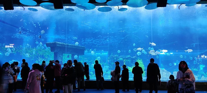 云南昆明旅游攻略七月,七月份云南昆明旅游攻略