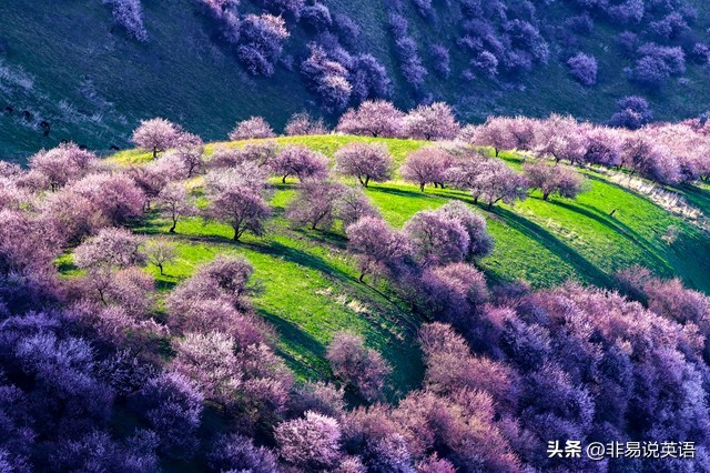 如何提高英语口语表达能力的方法,提高英语口语万能句型