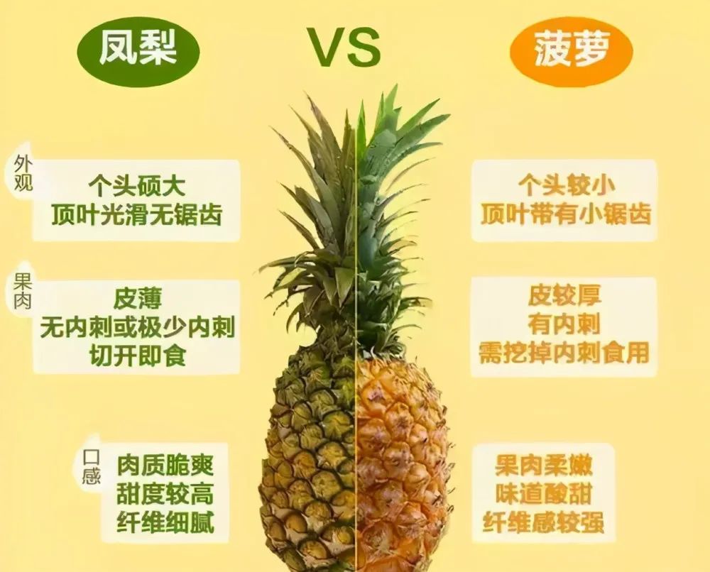 好吃到爆的黑暗料理让你一看就会,有哪些黑暗料理的做法好吃