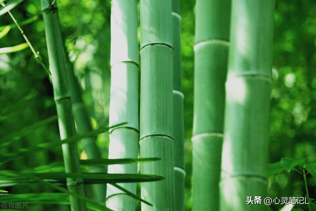 100句励志短语激励人心,十大经典励志语录短语