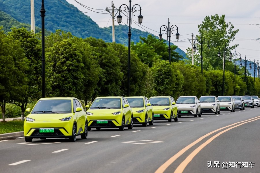 了解比亚迪海洋网全部车型,比亚迪海洋系列新车