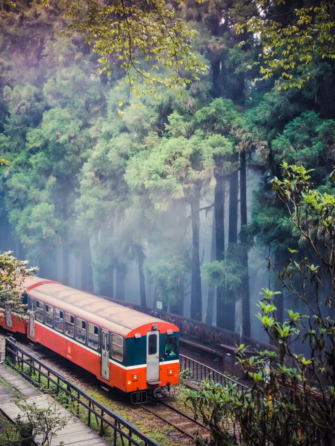 台湾地图为啥上热搜,台湾省地图热搜