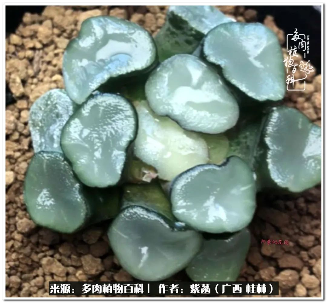 酷暑里的关爱，如十二卷般透亮绵长