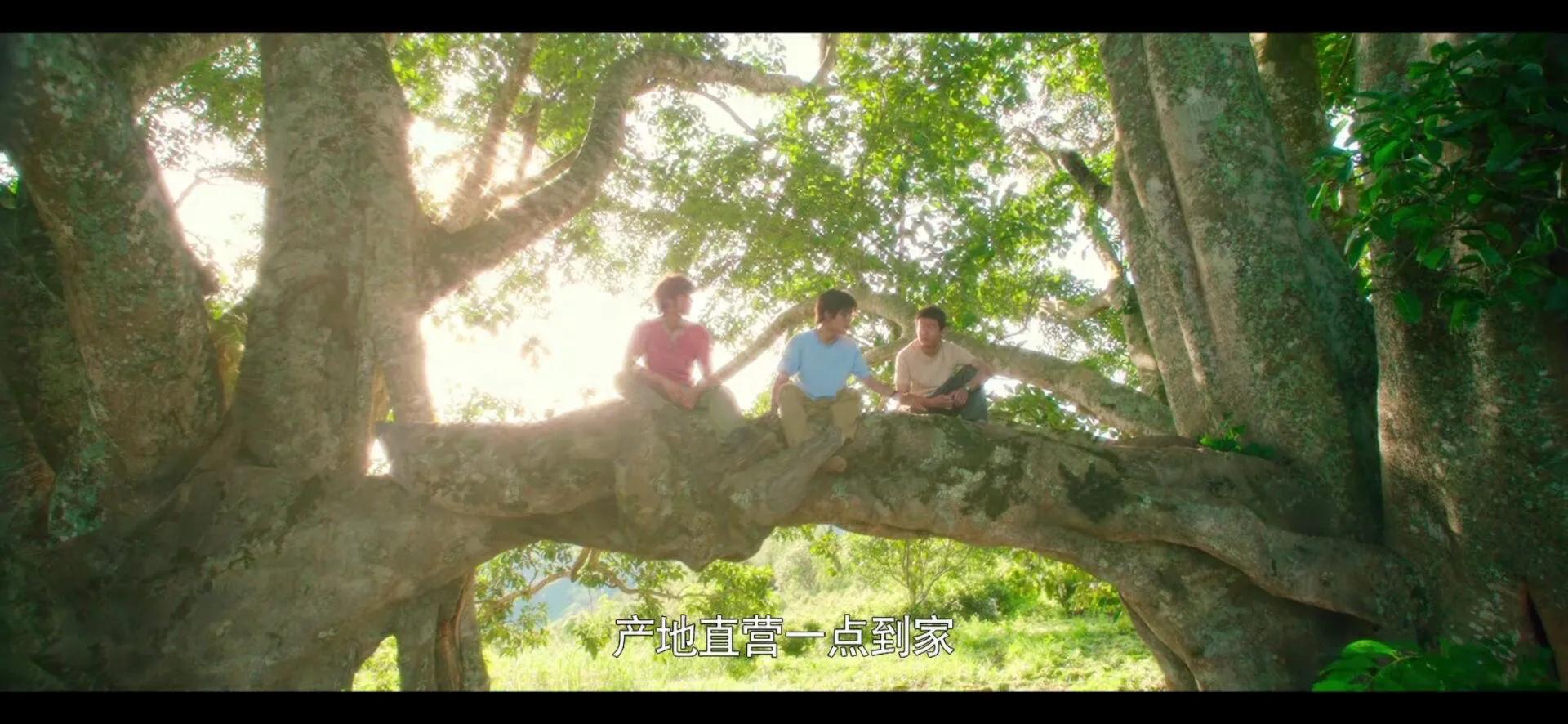 《一点就到家》:老瓶装新酒,就着梦想越喝越有