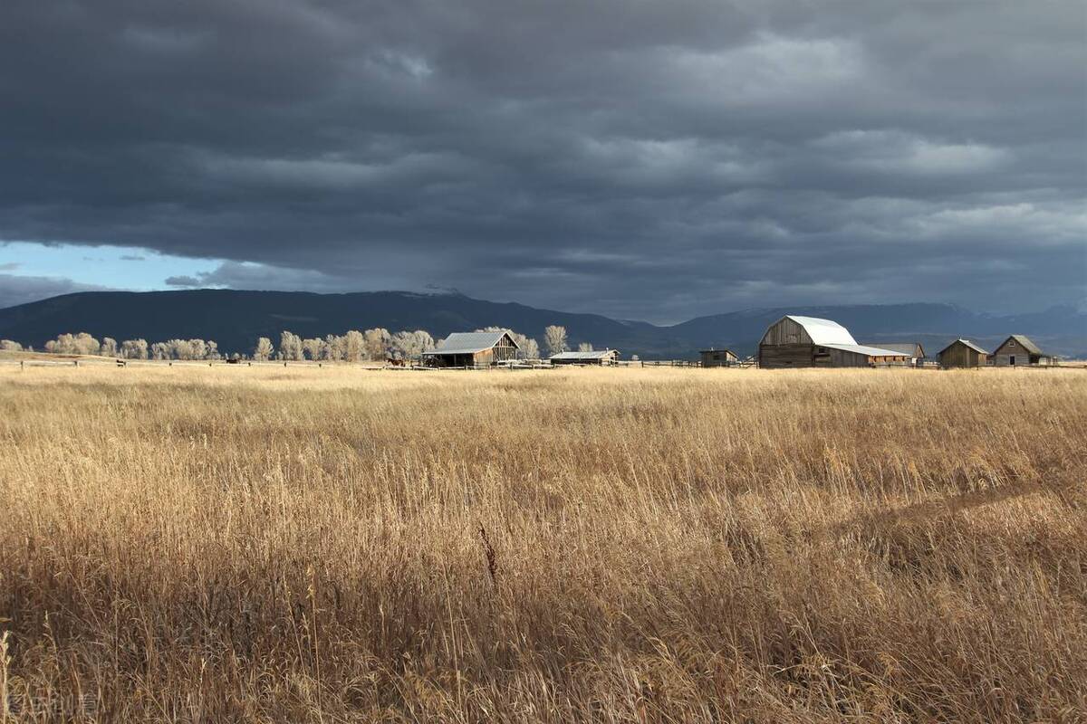 人生的最大遗憾遇见了最爱的人,人生最重要的是和喜欢的人一起