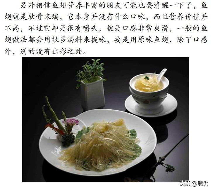 人类为什么只吃鲨鱼,为什么人类只吃鱼翅