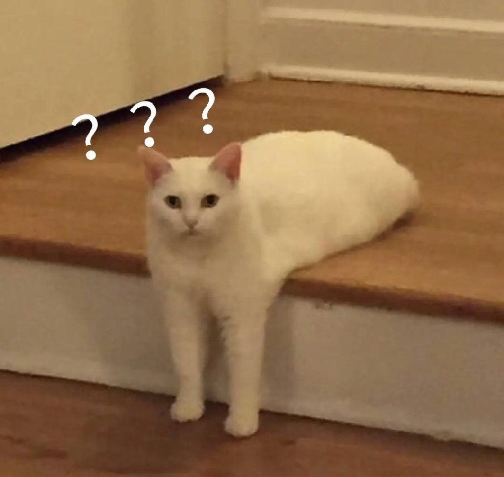 栀子哪个牌子的好,栀子什么品种价值最高