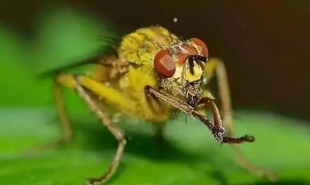 如何规划经营百亩农场才能更赚钱,共享农场模式1.9亩收入20万