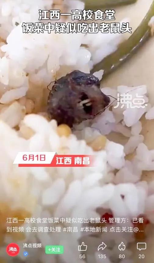 指鼠为鸭,指鼠为鸭是什么事件