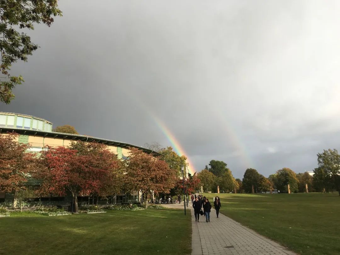 生活在瑞典的真实感受,在瑞典生活的日常
