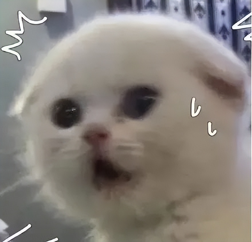 卸去所有的伪装,卸去眼中的伪装