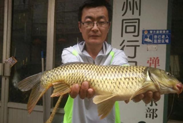 如何花最少的钱买到最便宜的东西,如何花最少的钱买最高配置