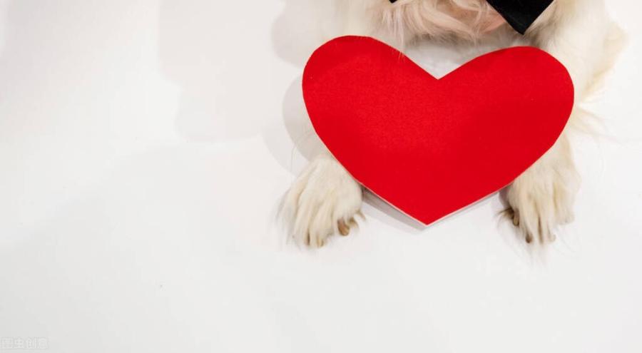 女生面前总唯唯诺诺？教你4招提升气场，从此不再当女孩的备胎