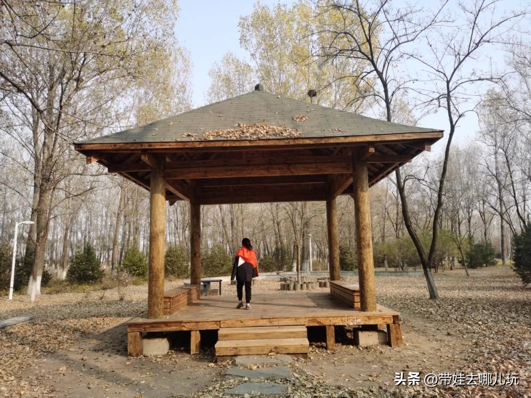 在森林公园里玩耍,中国可以骑行的森林公园