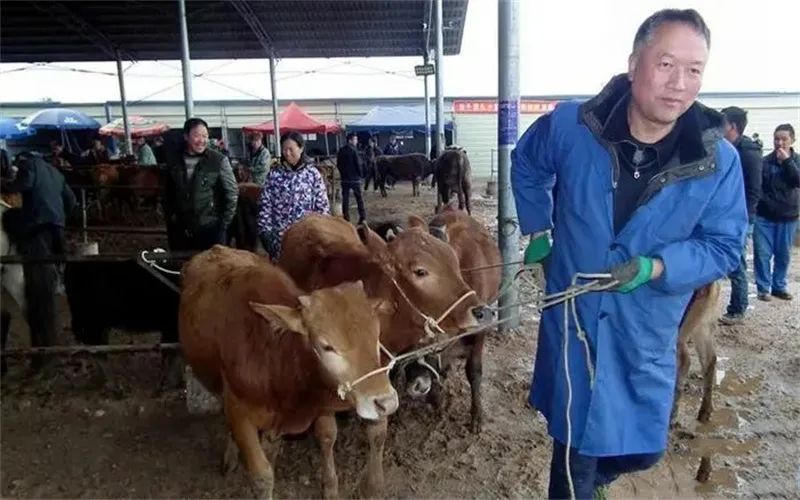 农村零成本赚钱小方法,农村比较挣钱的小生意