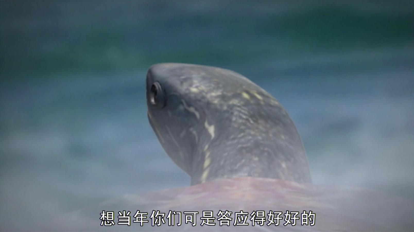 通天河老龟为什么不报复师徒,通天河老龟的真正身份