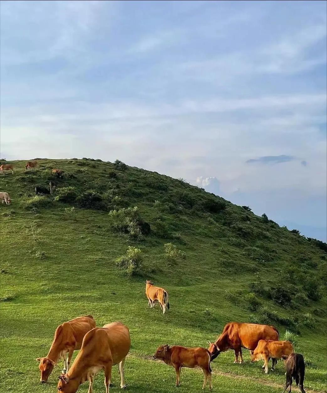 福州宝藏打卡地,福州的小众宝藏目的地