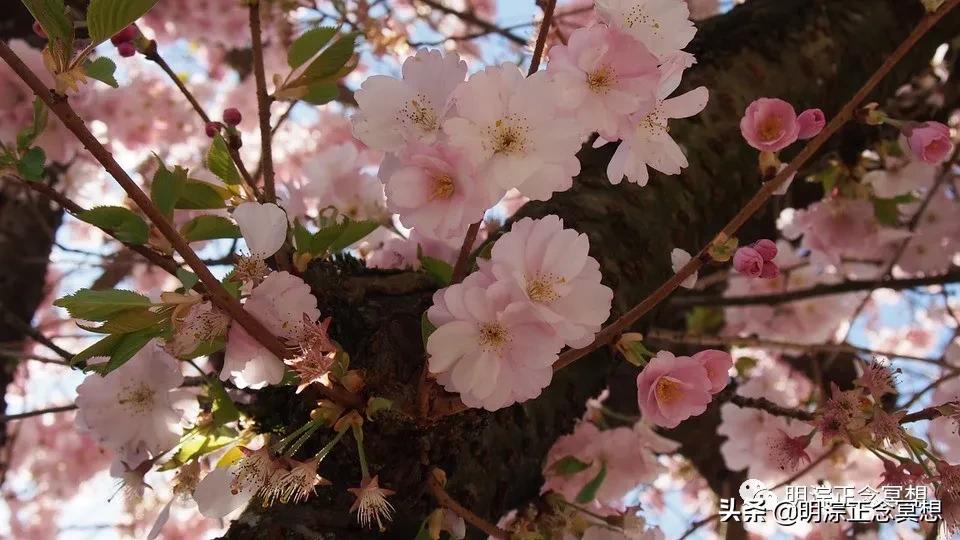 做了傻事心里很难受怎么办,想到过去的事情会尴尬