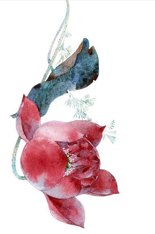 十首最美荷花诗词,最有韵味的荷花十首诗词