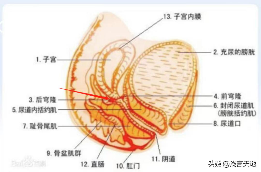 女孩新婚初夜出血后昏厥,21岁女生结婚大出血