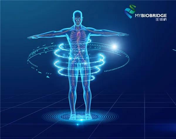 发挥中医特色优势，生物桥智能手表助力智慧养老