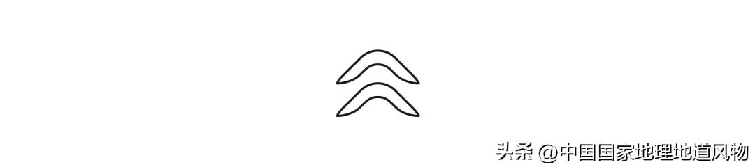 全国各地吃猪图鉴,哪个地方吃的猪最多