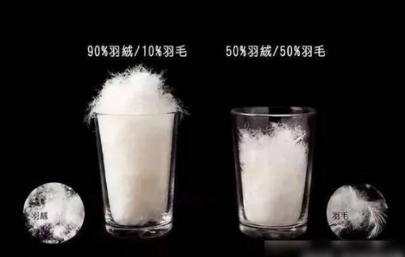 名牌羽绒服和普通羽绒服的区别,羽绒服贵的和便宜的有什么区别