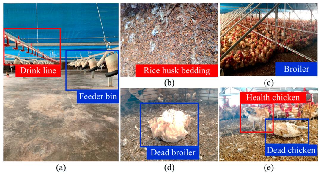 郑州禽病检测实验室,禽病监测诊断技术原理与方法视频