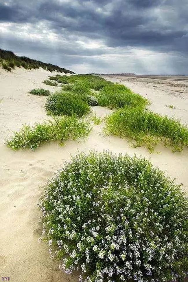 太美了100个世界级美景,全球100张绝世美景