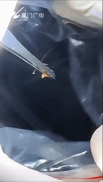 石家庄交警再次开启交通违法整治风暴；保定街头窨井装上“防坠神器”；有你想去的吗？全国这些景区免费开放