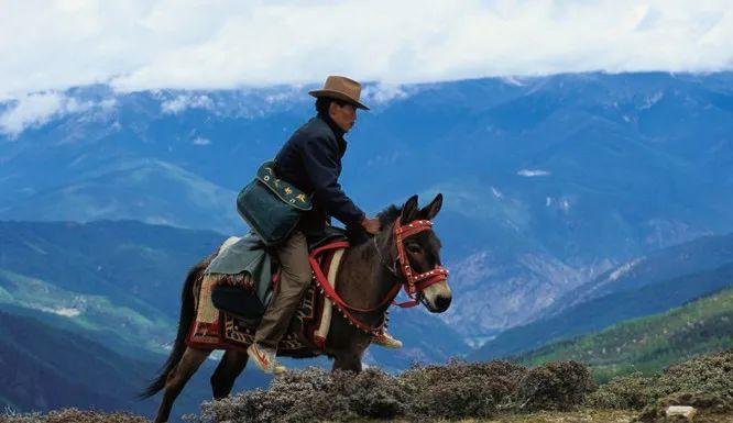 对赚钱毫不在意却年入6000亿，中国最佛系快递凭啥吊打美国邮政？