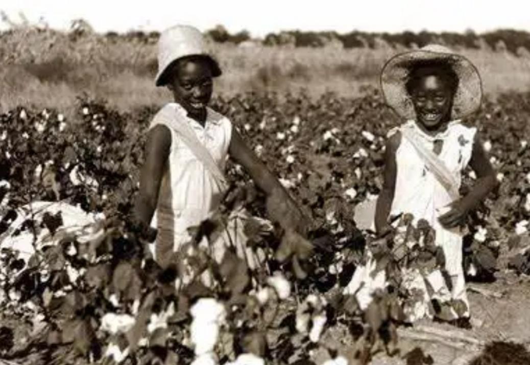 非洲女孩巴特曼：拥有奇特身材，曾供欧洲人观赏，死后被制成标本