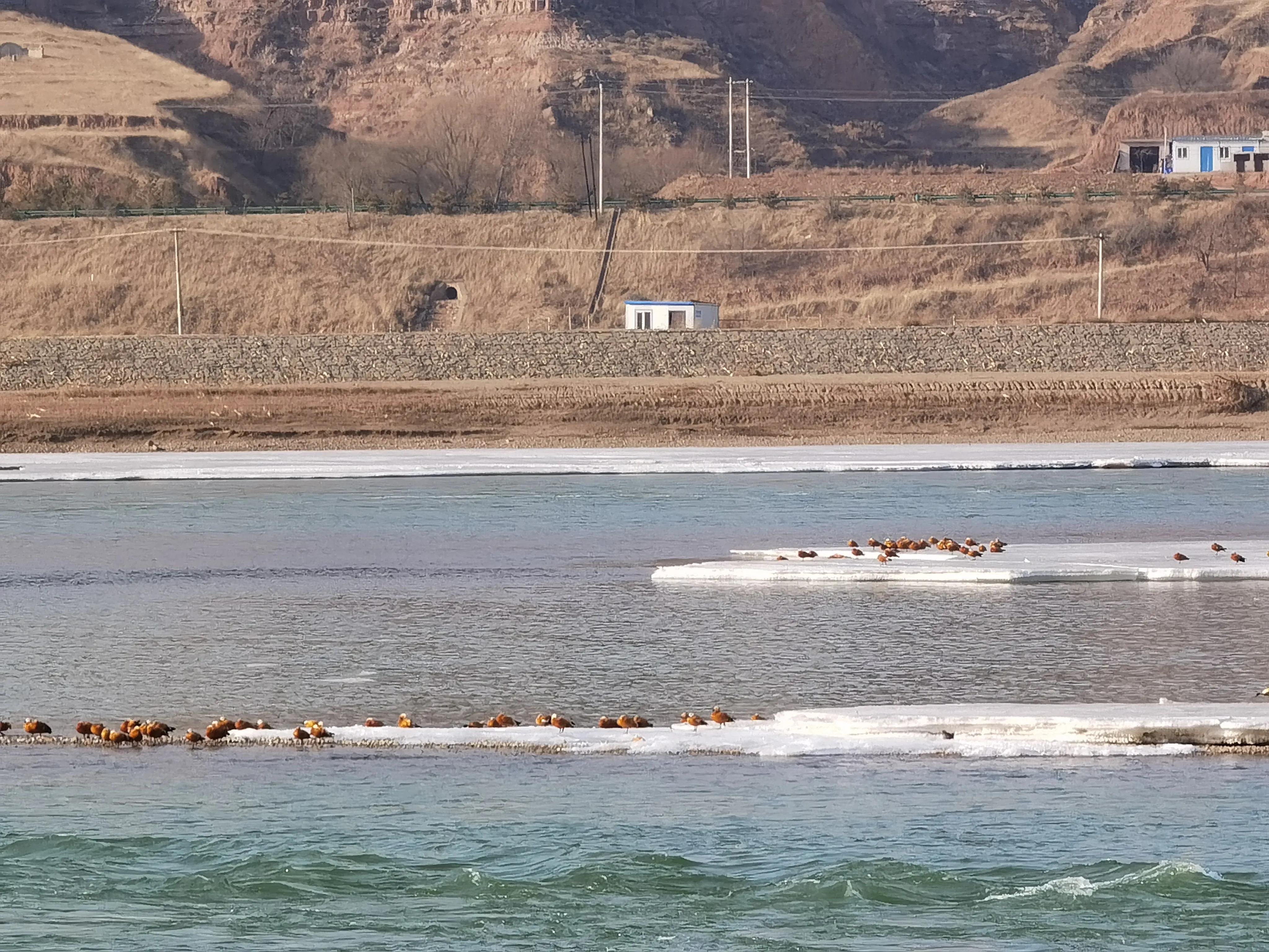 新轩逸提升,新款轩逸分享