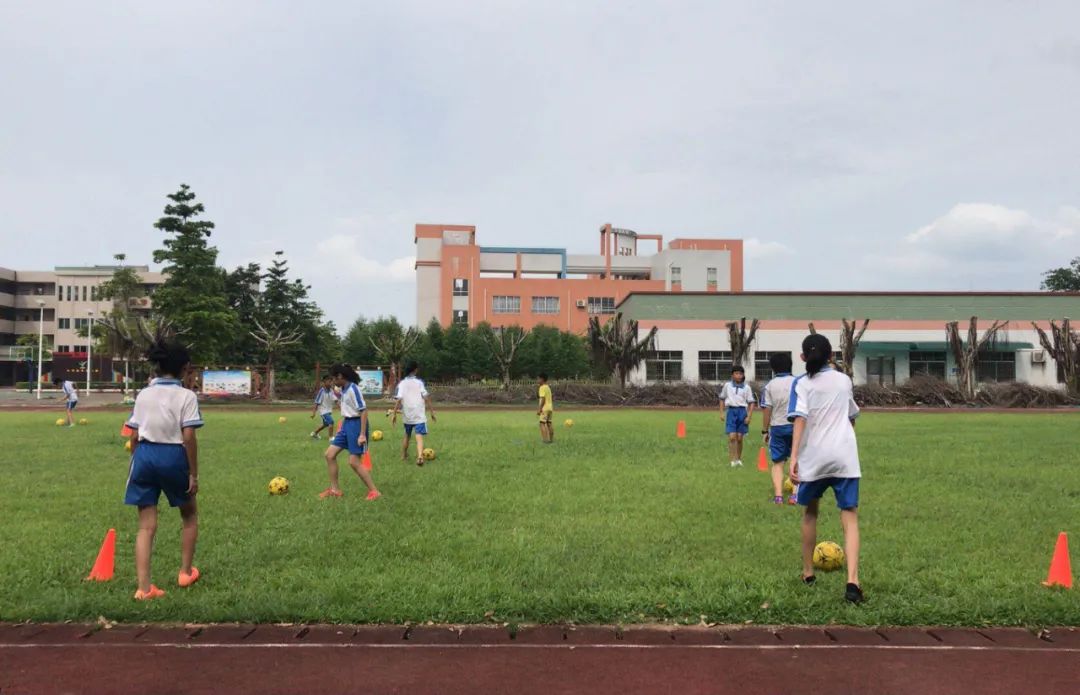 鼎湖人,肇庆市鼎湖人口