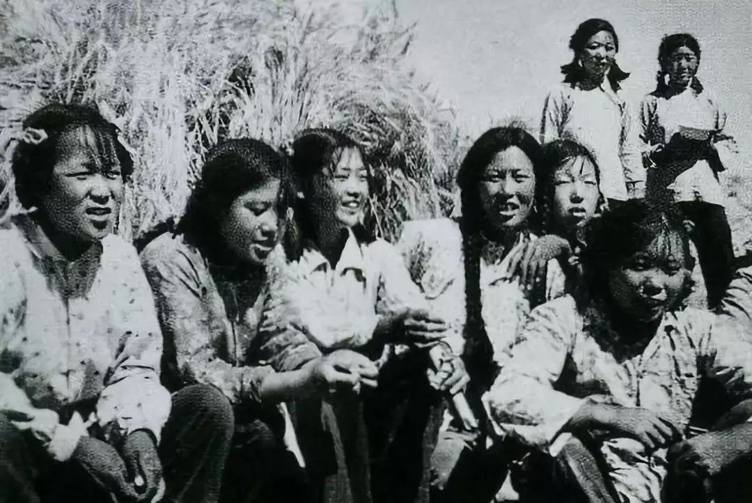 中国人民解放军部队组成部分,解放军通信兵团的序列