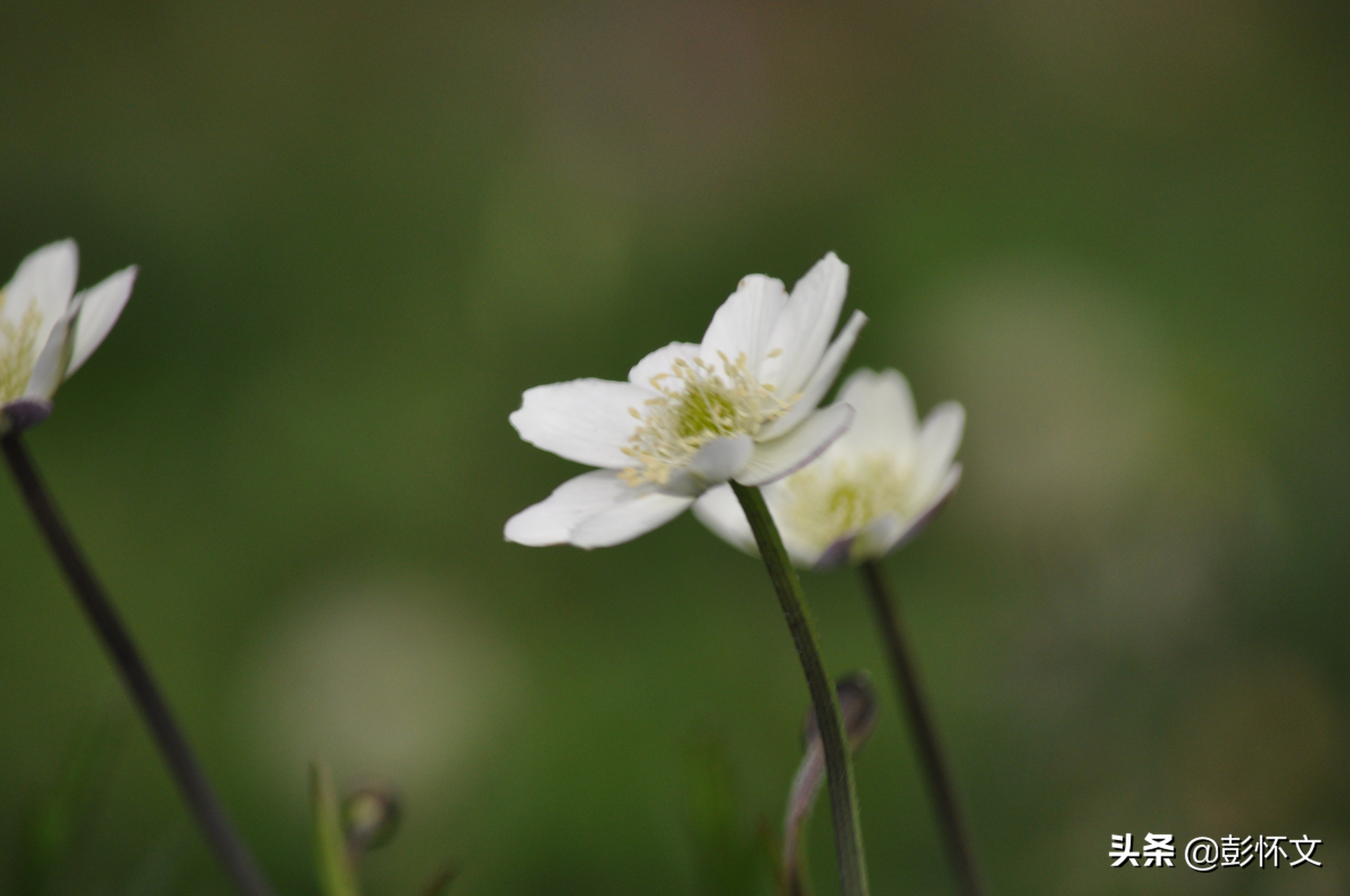 财税实务问题大揭秘,财税实务问题解答九则