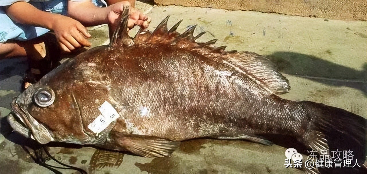 美容护肤食疗方案,美容护肤养生介绍