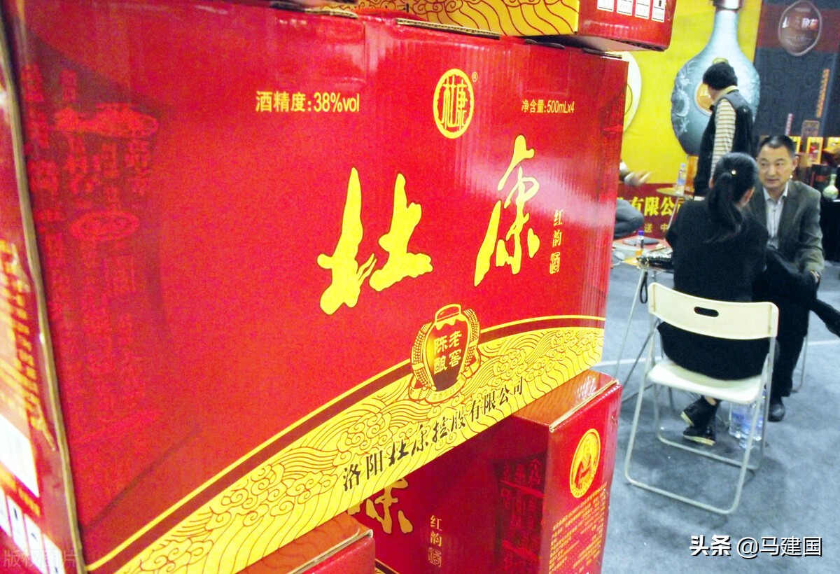 马建国汝阳,汝阳马建国