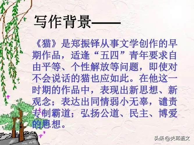 猫第一课时教学思路,猫第二课时教学小节