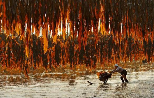 水产养殖台风暴雨前如何做好工作,水产养殖如何应对寒潮