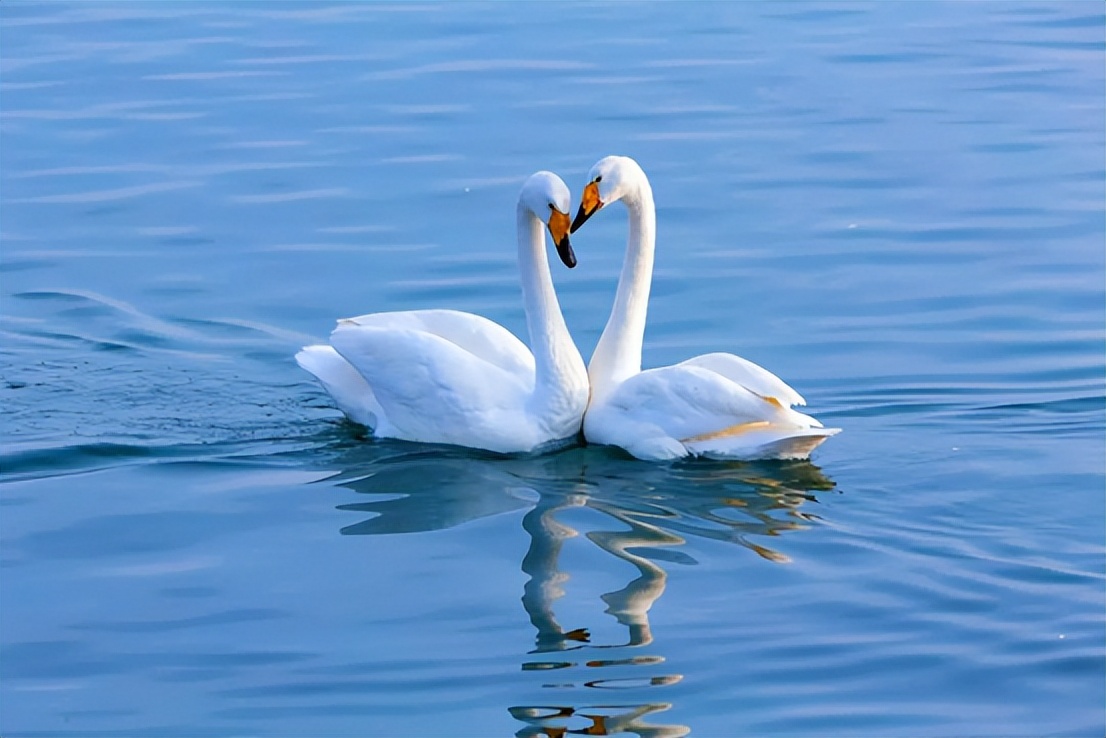 冬季山东十大美景,旅游山东最值得去的地方冬季