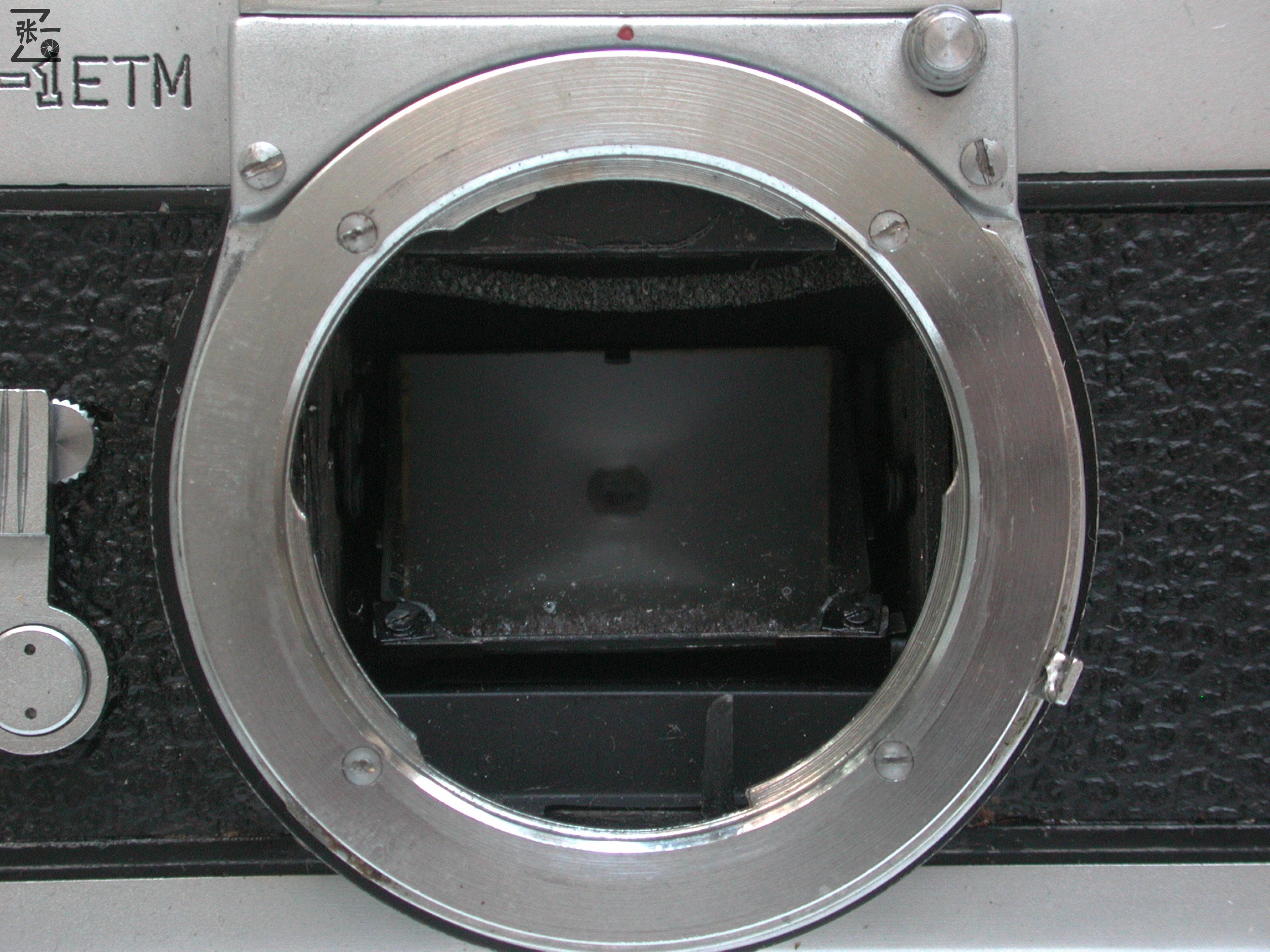 海鸥205相机当年的价格,海鸥DF-1单反相机