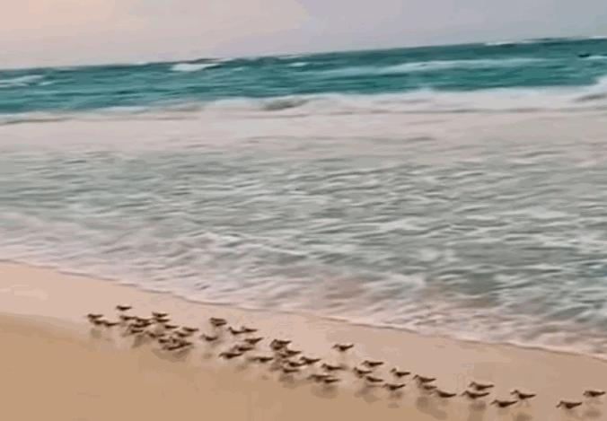 用来坐的椅子，它可以“浪”到什么程度？