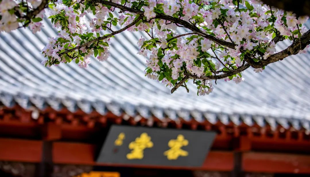 济南旅游公交专线有哪些 (济南近郊公交直达的游玩场所)