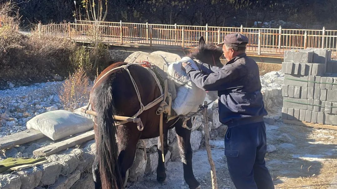 运料全靠骡驮人背！修缮长城到底多难，小编全程跟拍→