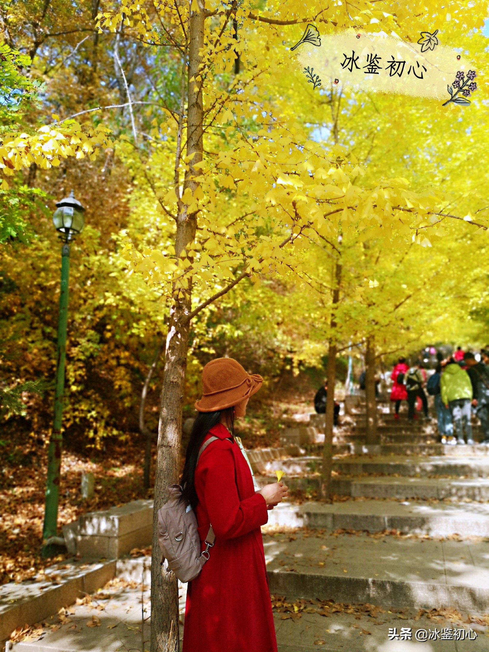 辽东第一山,辽东第一山是什么山