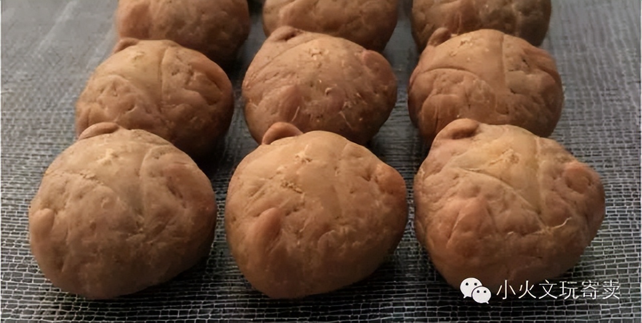 凤眼菩提20天效果,2023年凤眼菩提