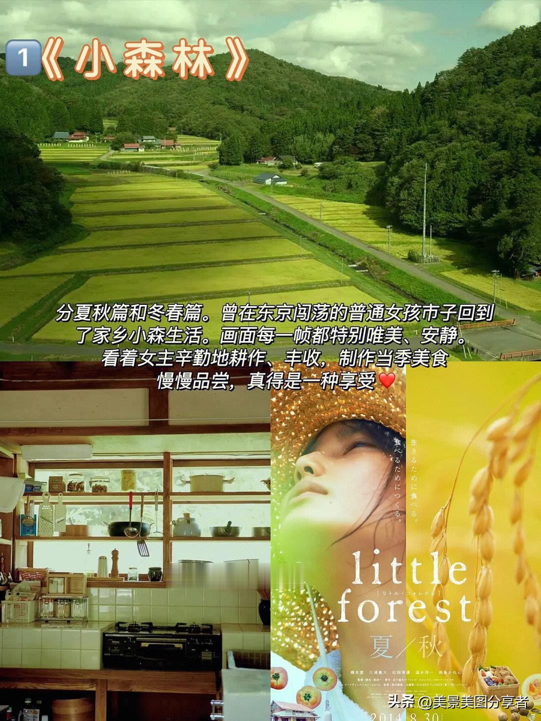 治愈光影推荐,治愈系影单